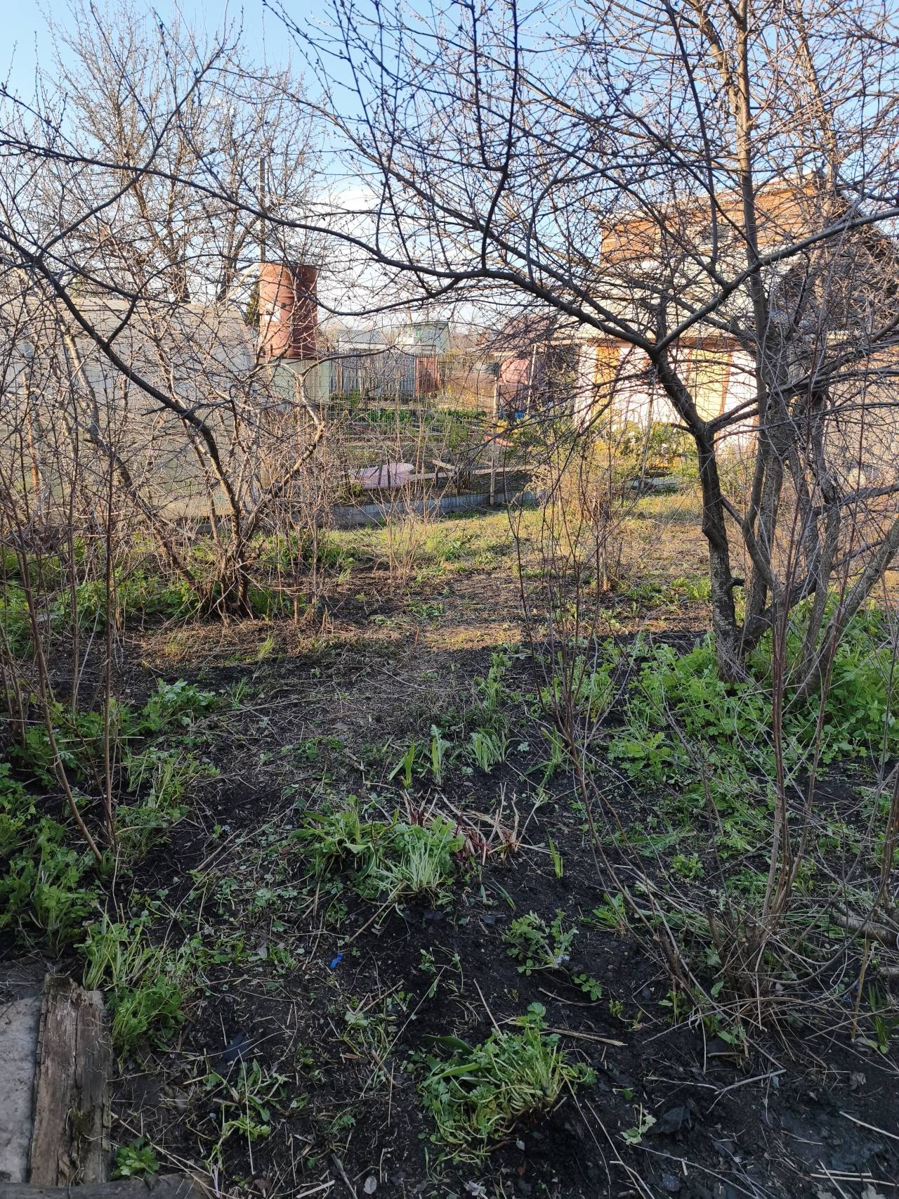 Фото